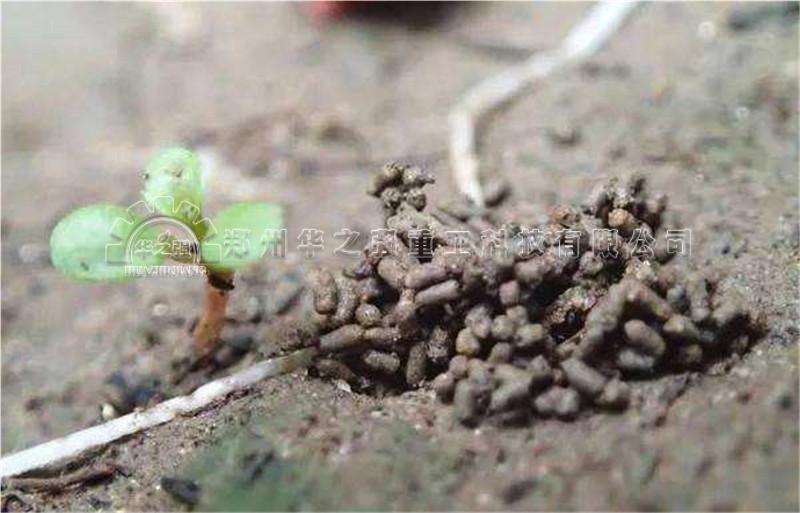 禽畜糞便一定要發(fā)酵后才是有機肥？