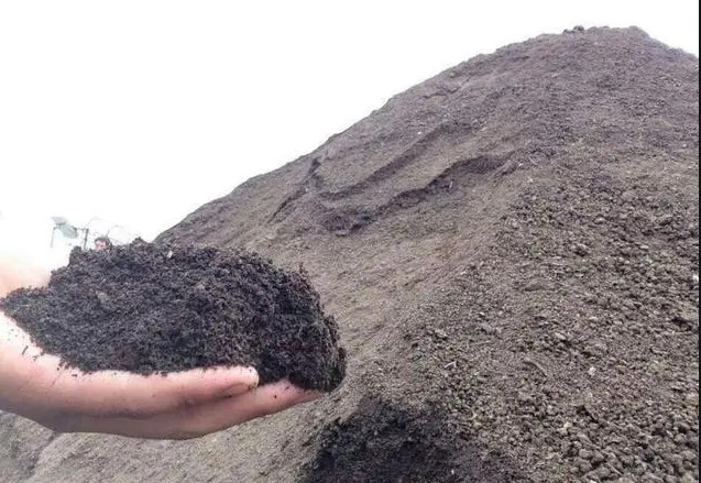 蚊蠅滋生該怎么解決